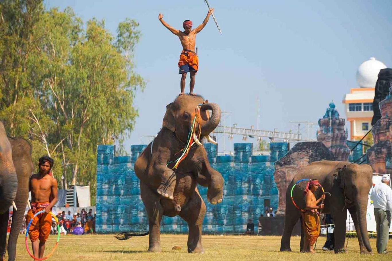 Lễ hội Surin, mùa hạnh phúc của những chú voi | VIETRAVEL - Vietravel