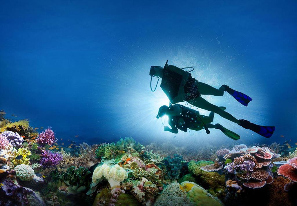 Lặn ngắm san hô bằng bình dưỡng khí (diving hay scuba)