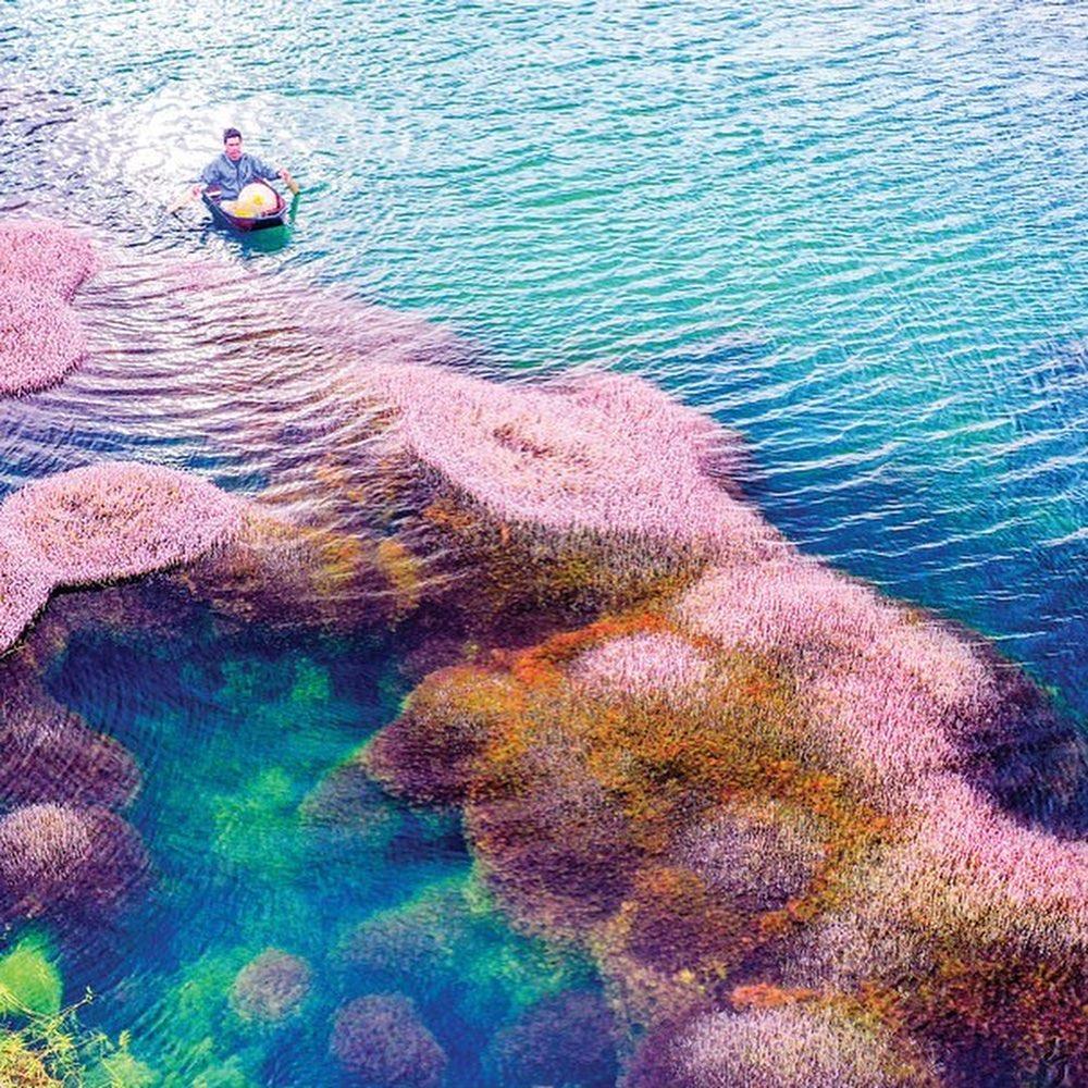 5. Hồ tảo hồng ở B’lao