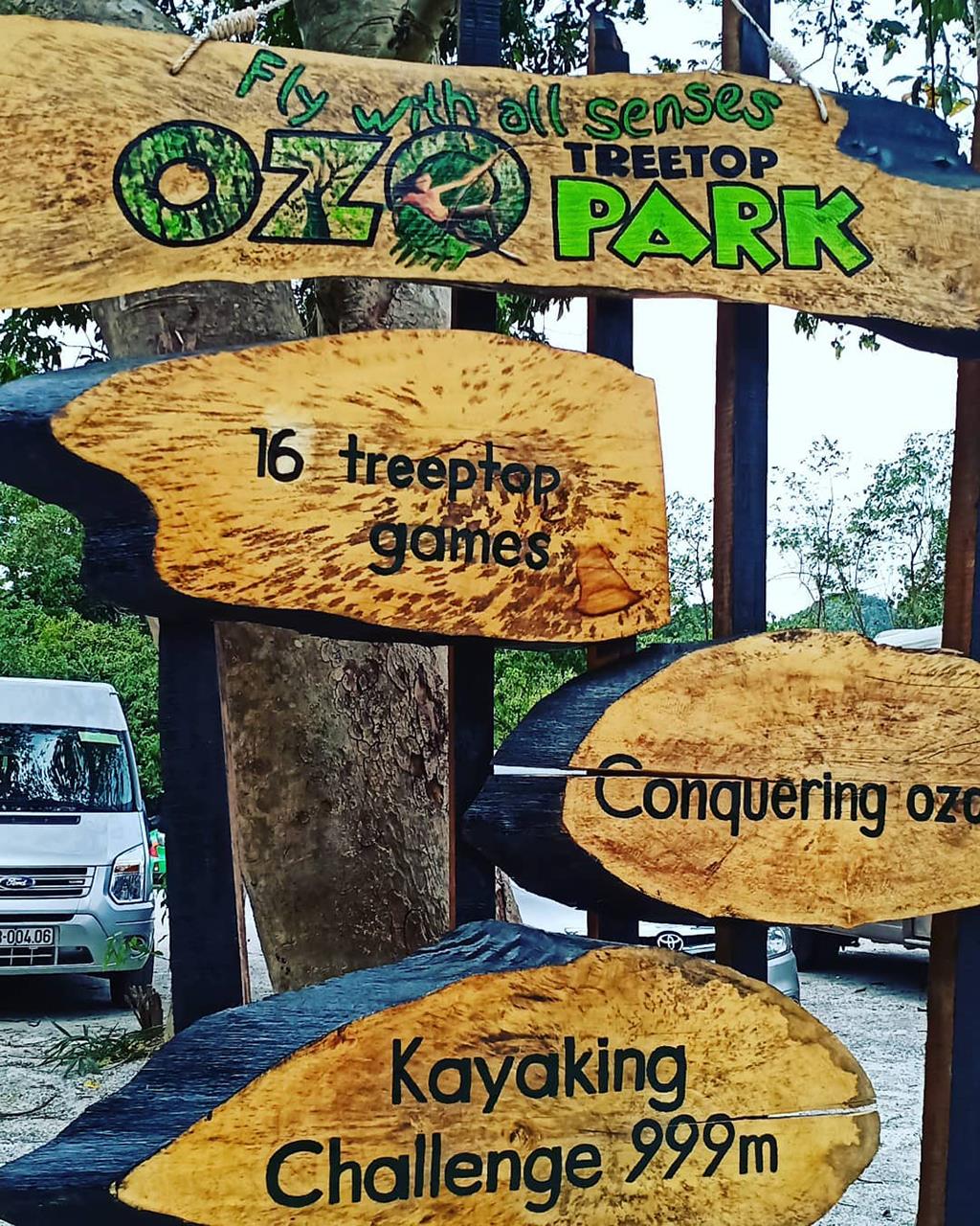 Vui chơi, tản bộ ở khu du lịch Ozo Treetop Park