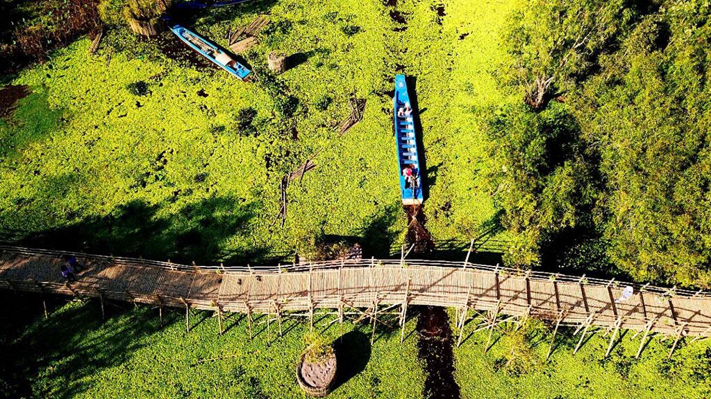 Rừng tràm Trà Sư, nơi có cây cầu tre dài nhất Việt Nam