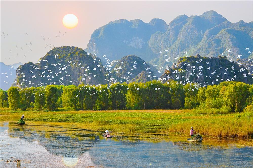 Du lịch Vườn chim Thung Nham Ninh Bình thời điểm nào thích hợp?