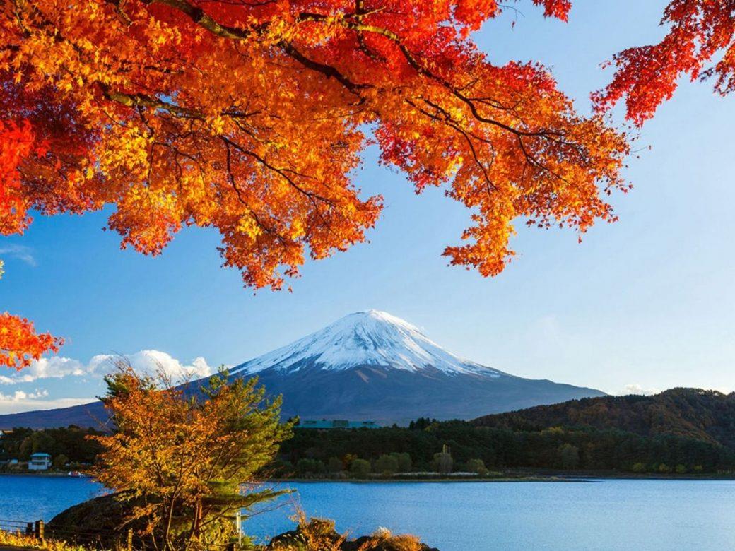 Khu vực ngũ hồ quanh núi Phú Sĩ