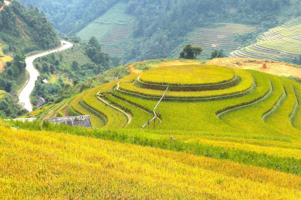 Mù Cang Chải, địa điểm ngắm lúa chín đẹp nhất ở Yên Bái 