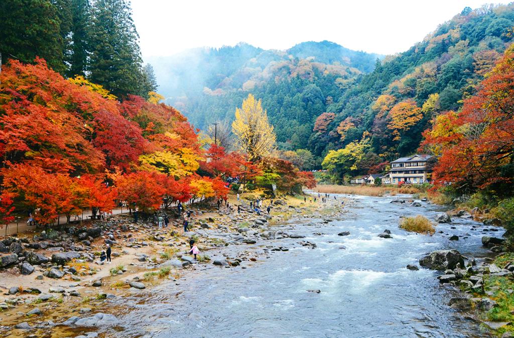 Hành trình du lịch Nhật Bản mùa lá đỏ quyến rũ