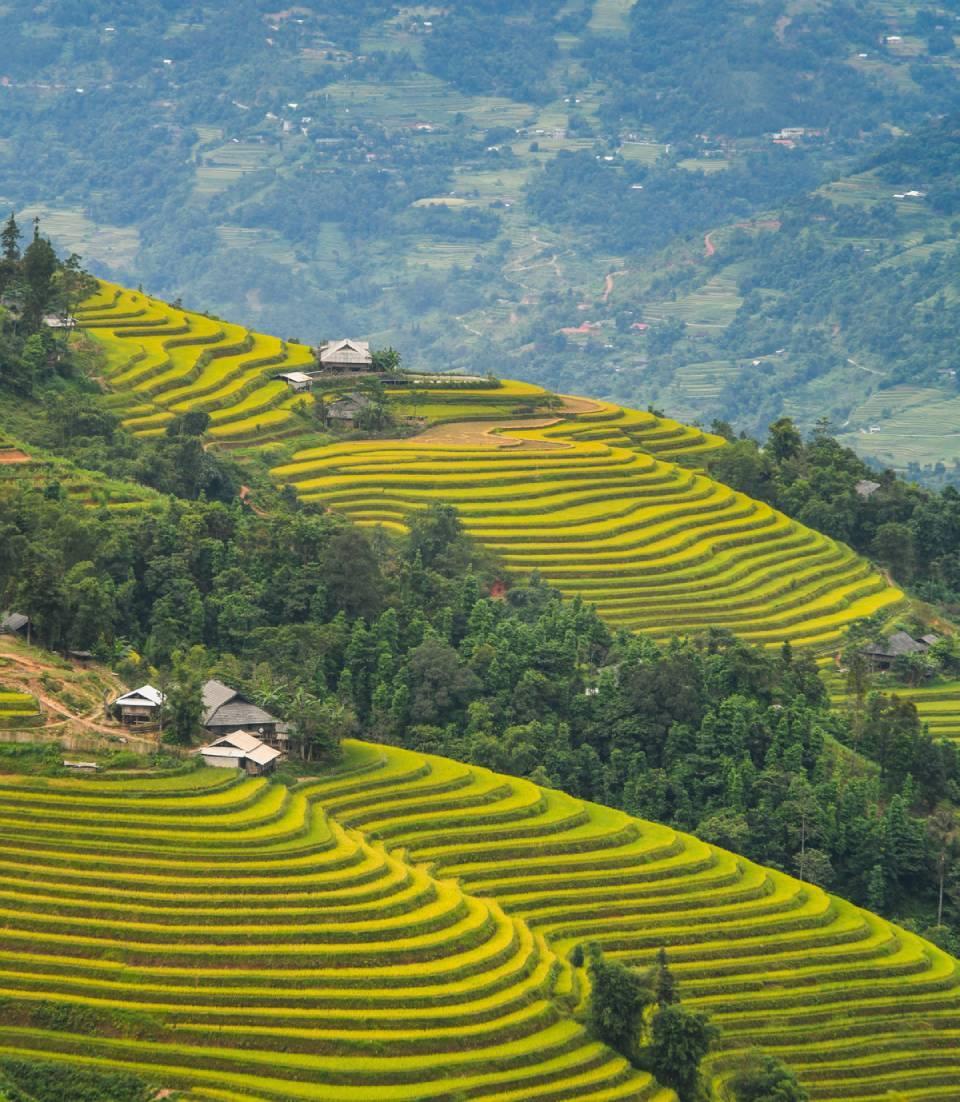 Ruộng bậc thang Hoàng Su Phì, điểm săn ảnh tuyệt vời kết thúc trọn vòng cung ngắm lúa ở miền Bắc