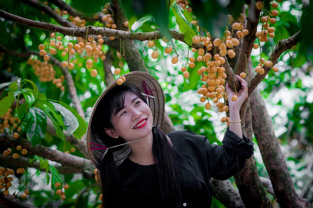 Vườn trái cây khu du lịch Mỹ Khánh, Cần Thơ