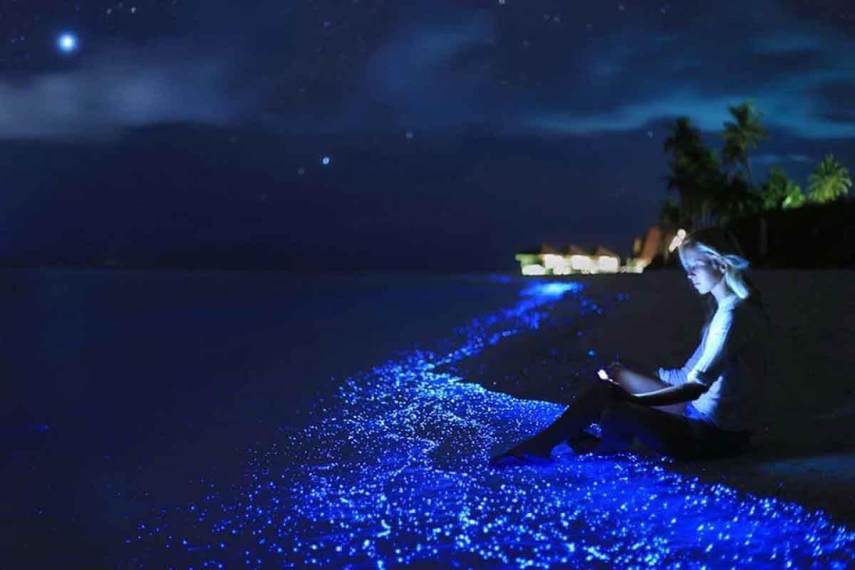 Bãi biển Vaadhoo, Maldives - Vẻ đẹp bất chấp ngày đêm