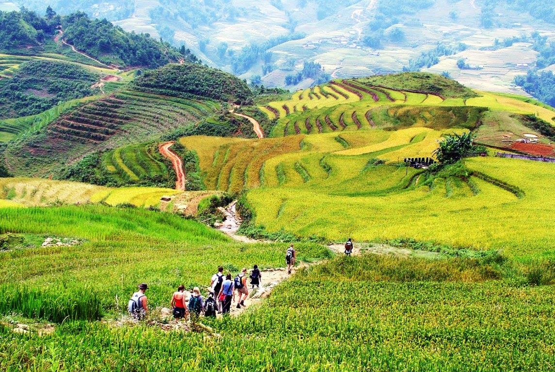 Những cung đường trekking ở Việt Nam được yêu thích nhất