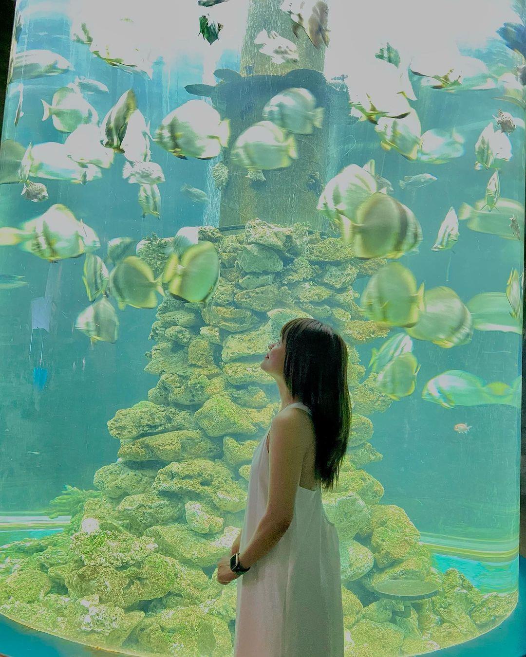 Nhà kính Viện hải dương học - Góc selfie ở Nha Trang không thể chối từ