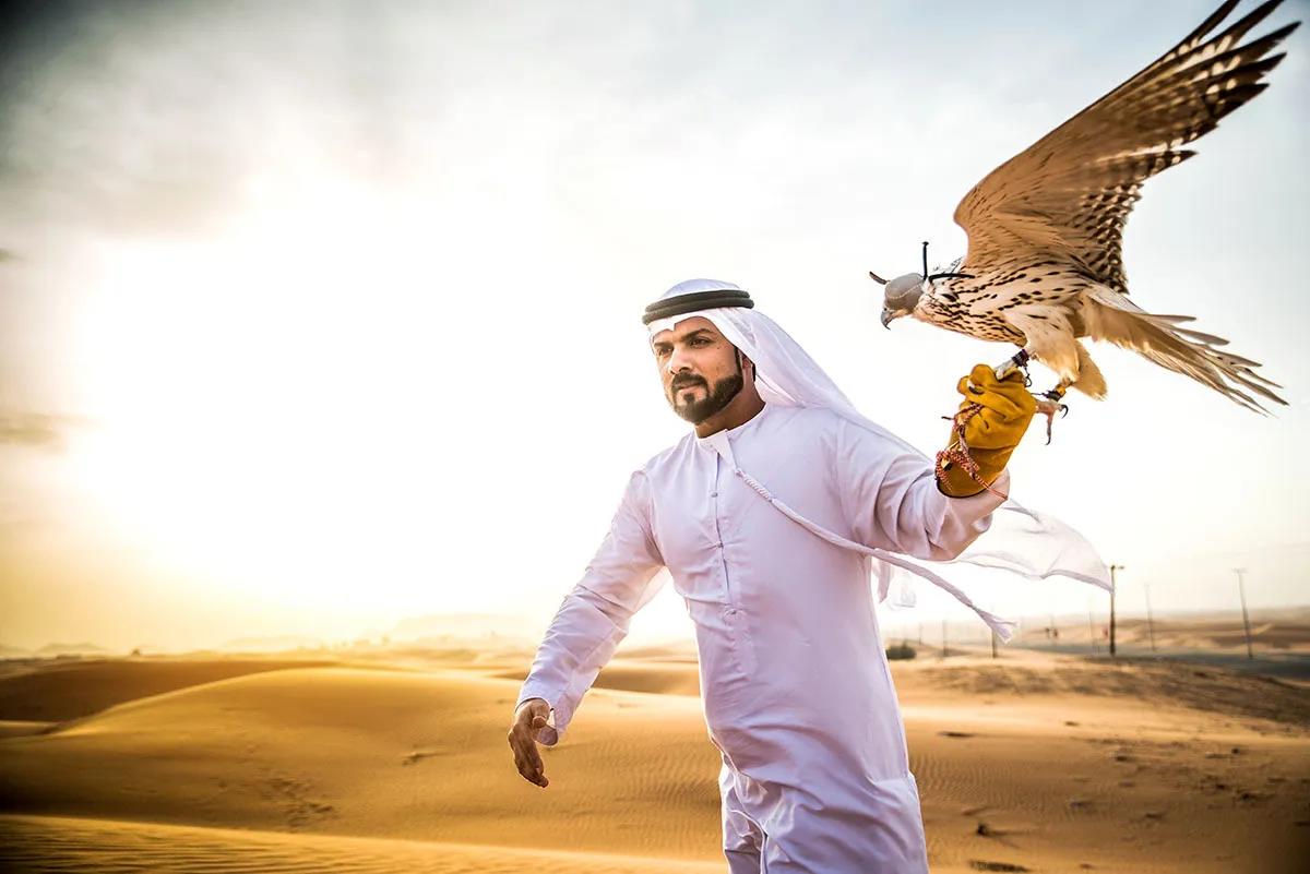 Selfie cùng chim ưng - quốc điểu của UAE