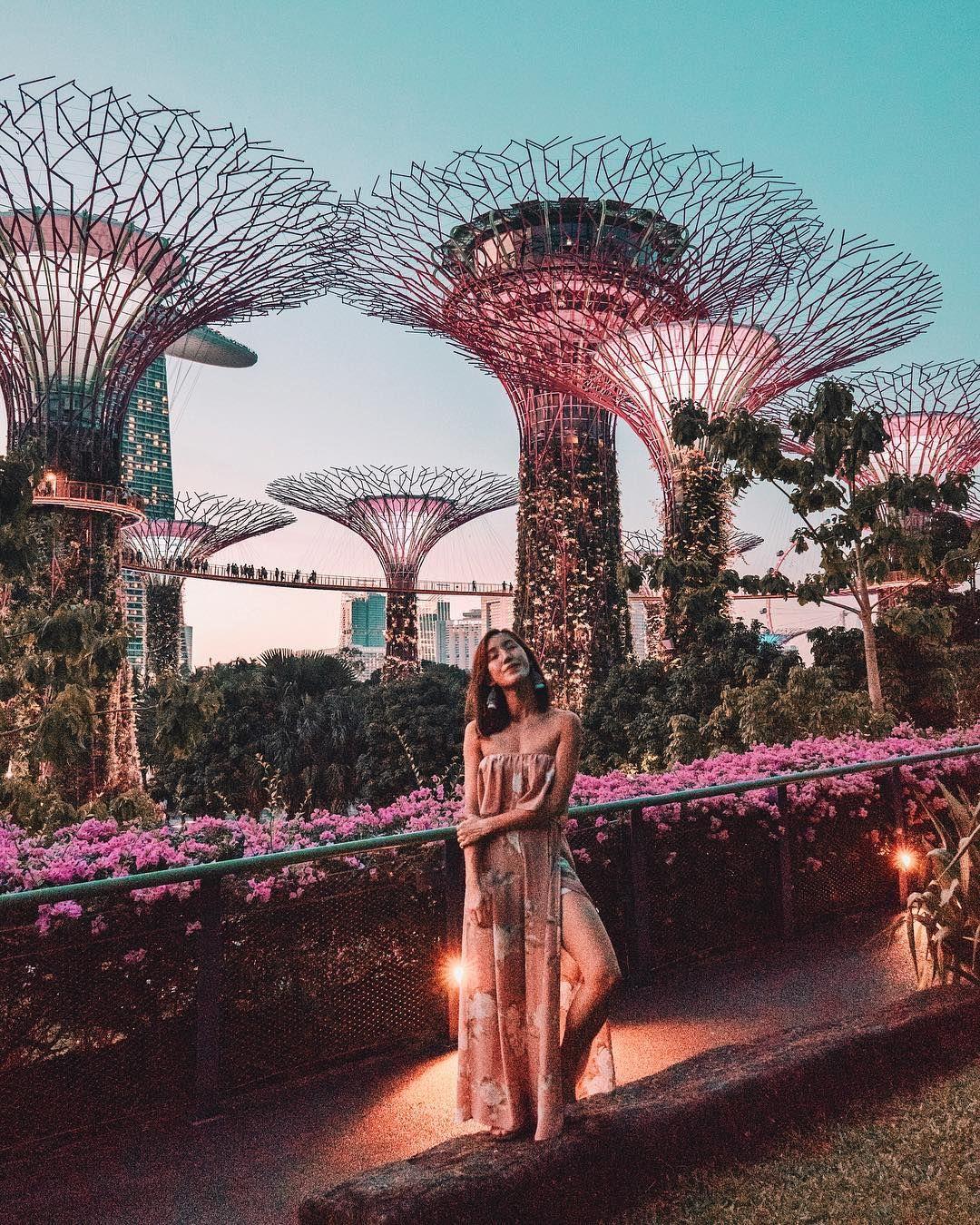 Du lịch Singapore có gì? Gardens by the Bay, thế giới thực vật đẹp như cổ tích