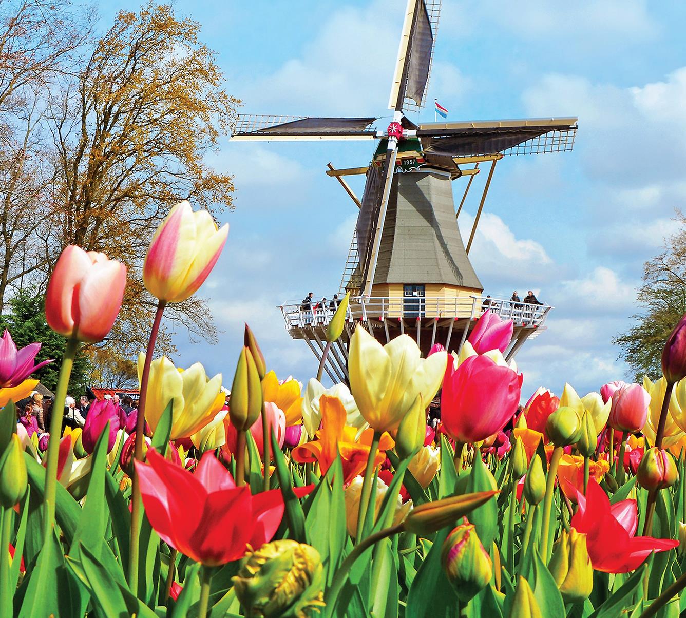 Amsterdam - Hà Lan: Khoảnh khắc thư giãn giữa cánh đồng hoa tulip
