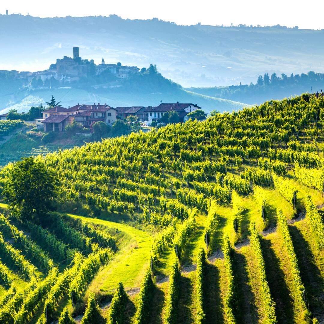 Cung đường của Rượu vang Tuscan - Ý