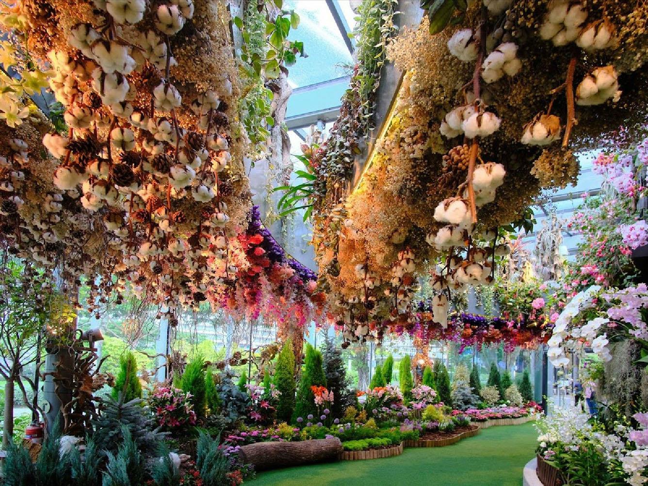 1. Địa điểm và thông tin về Floral Fantasy Dome