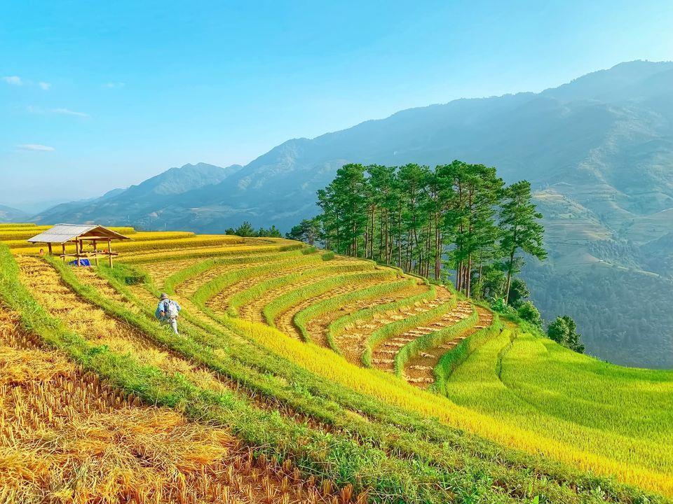 Top 5 điểm đến tuyệt vời của mùa thu ở vùng núi phía Bắc Việt Nam