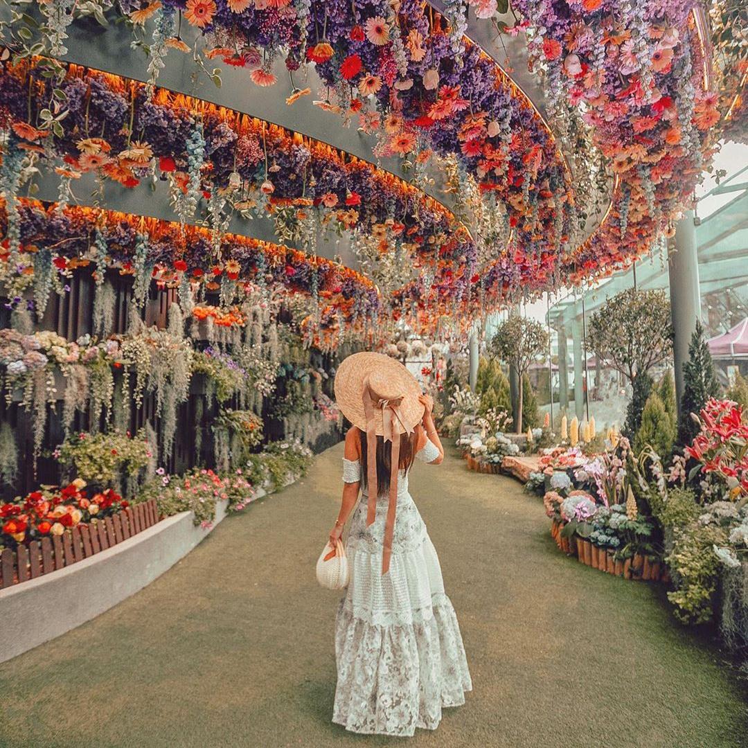 4. Lời khuyên để tận hưởng hành trình tại Floral Fantasy Dome