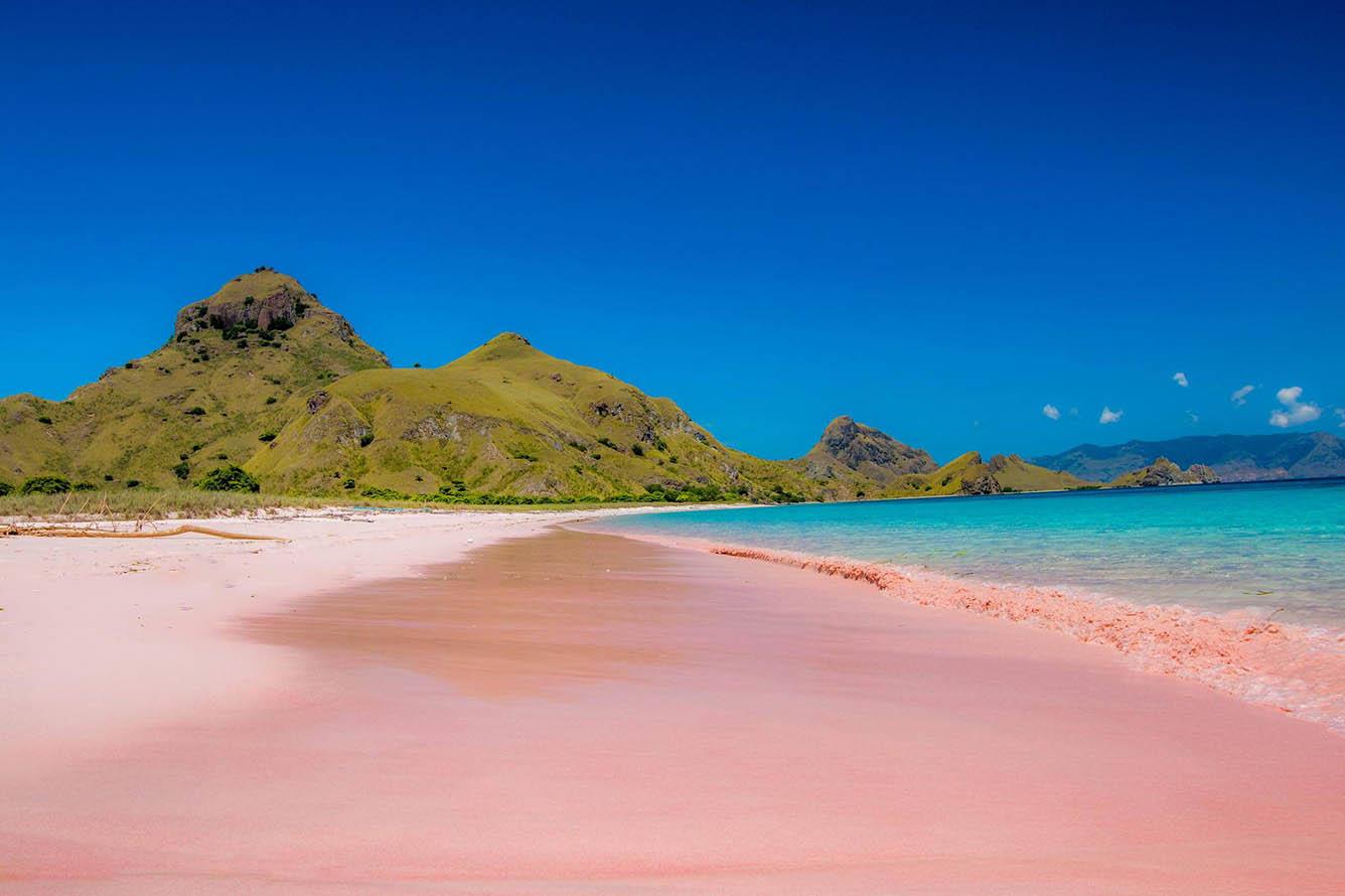 Bờ cát hồng bãi biển Pantai Merah, địa điểm du lịch Indonesia không nên bỏ qua khi thăm đảo đảo Komodo