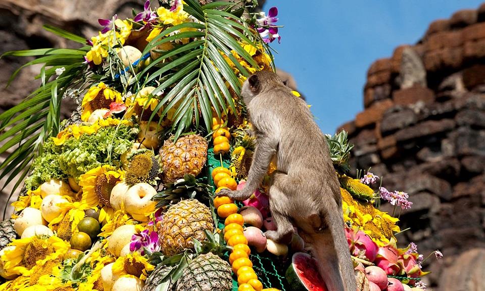 Lễ hội buffet cho khỉ ở Thái Lan