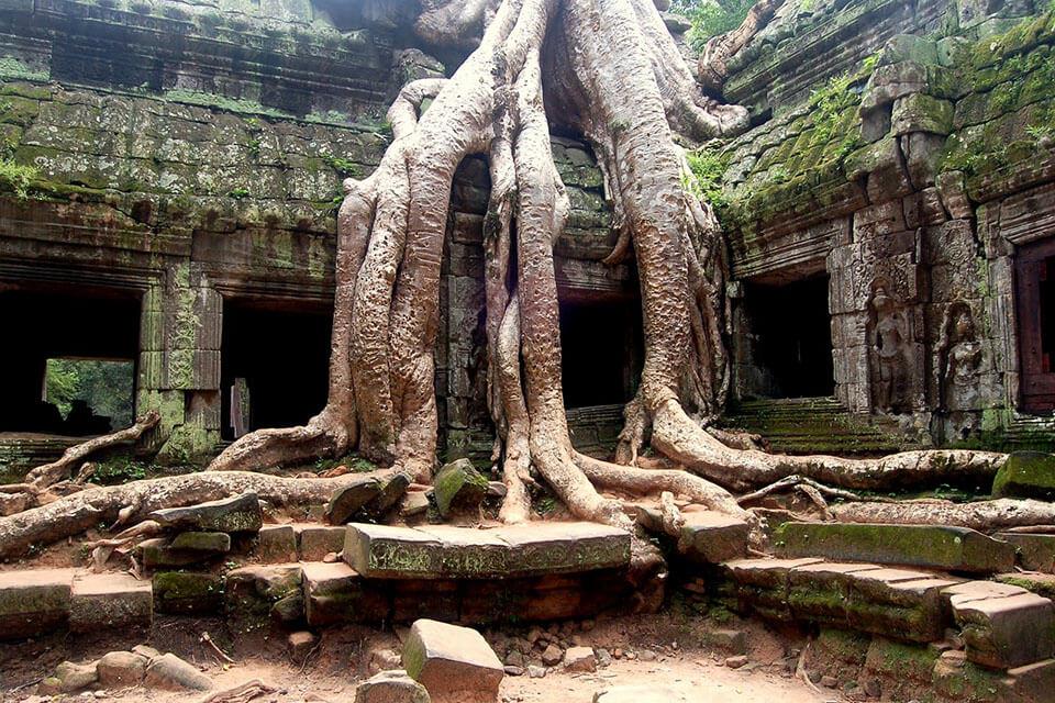 Ghé thăm quần thể Angkor
