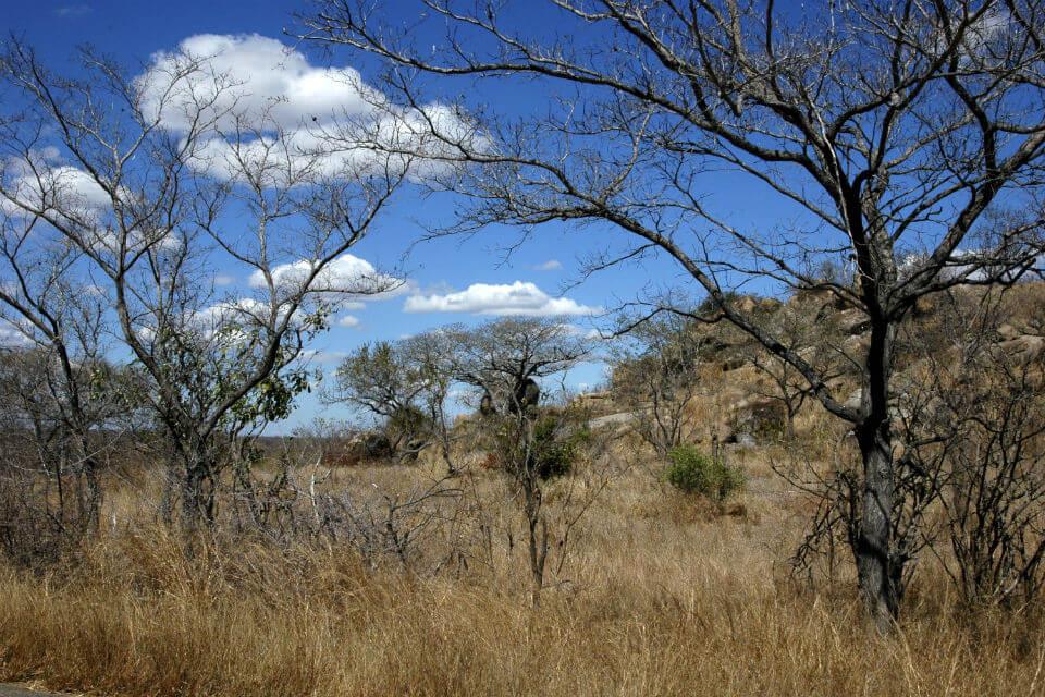 Công viên quốc gia Kruger