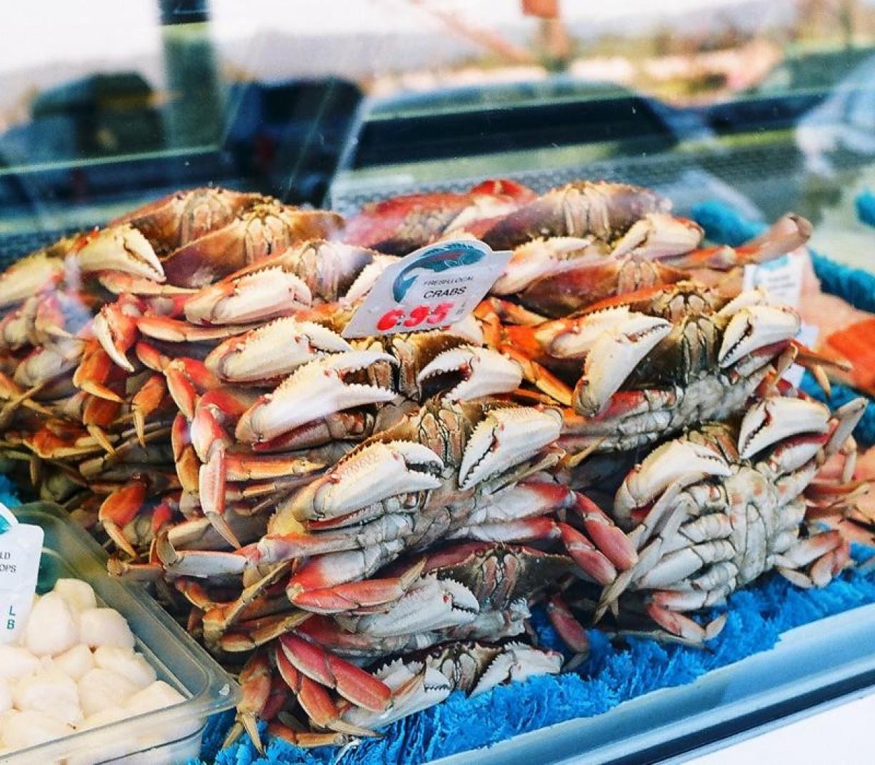 Tham gia Fish Fry tại chợ cá Oistins