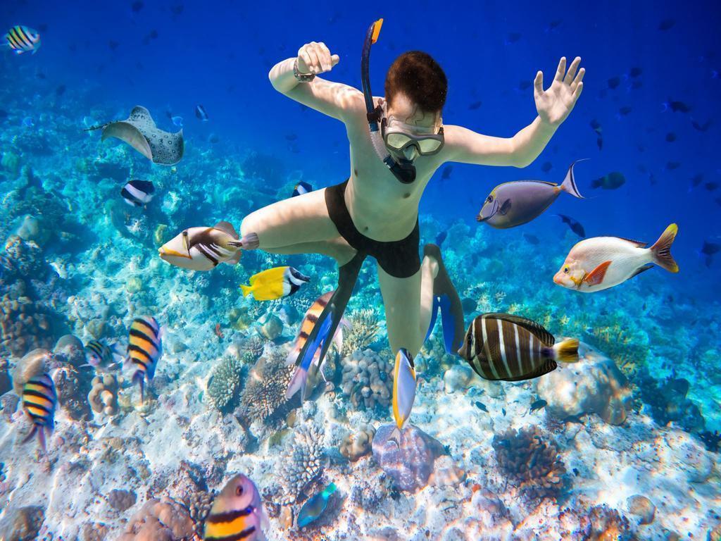 Lặn biển Nha Trang san hô: Nếu bạn thích khám phá cuộc sống dưới đáy biển, lặn biển ở Nha Trang là một trải nghiệm không thể bỏ lỡ. Với những rạn san hô đầy màu sắc và các loài sinh vật biển đặc biệt, hình ảnh của lặn biển Nha Trang sẽ khiến bạn cảm thấy như đang sống trong một thế giới hoàn toàn khác.