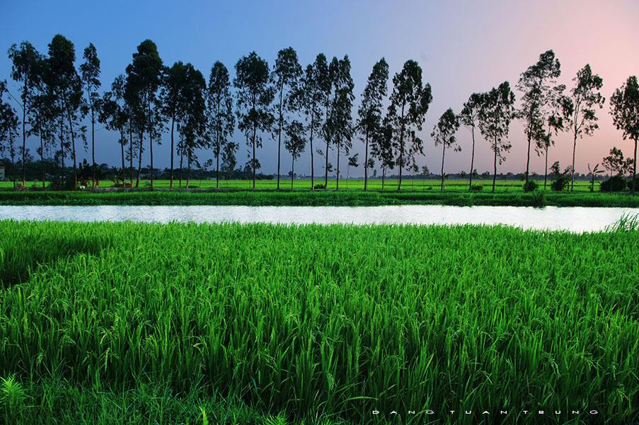 Miền Trung Việt Nam là vùng đất đa dạng với những cảnh quan đẹp tựa như bức tranh sơn thủy hữu tình. Hòa mình vào thiên nhiên, bạn sẽ được tận hưởng không khí trong lành và trải nghiệm những vùng đất địa cầu phong phú.