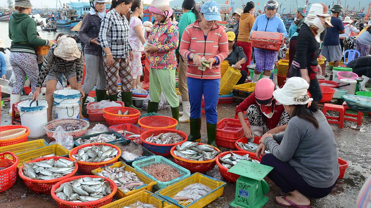 3. Chợ hải sản - trải nghiệm độc đáo buổi ban mai