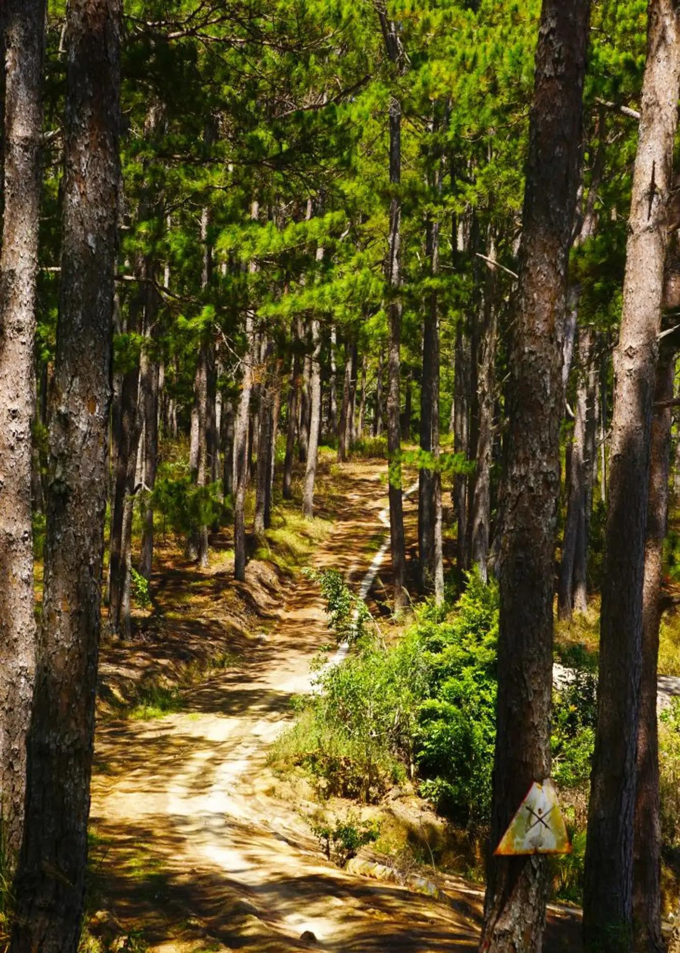1. Trekking rừng Đa Mân về với vẻ đẹp hoang dã của núi rừng Tây Nguyên 