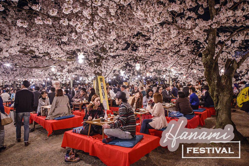 Lễ hội hoa anh đào Hanami