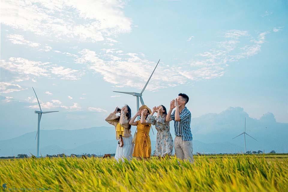 Check-in cánh đồng điện gió ở Ninh Thuận HOT rần rần những ngày qua
