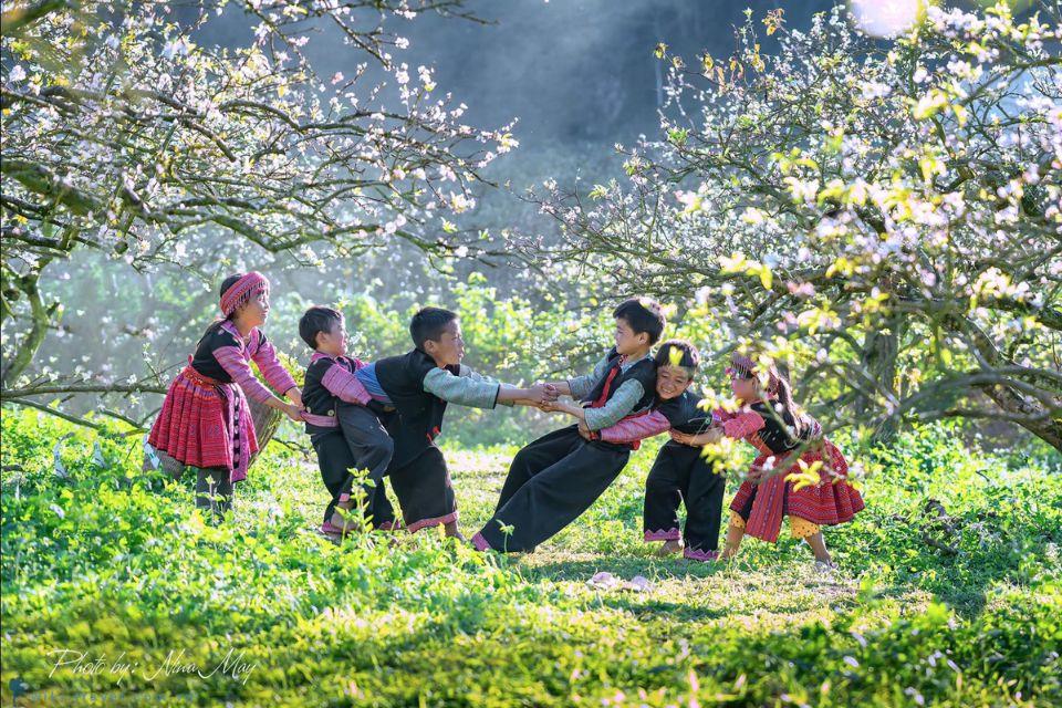 Mê mẩn 9 cảnh đẹp mùa xuân ở Việt Nam động lòng người