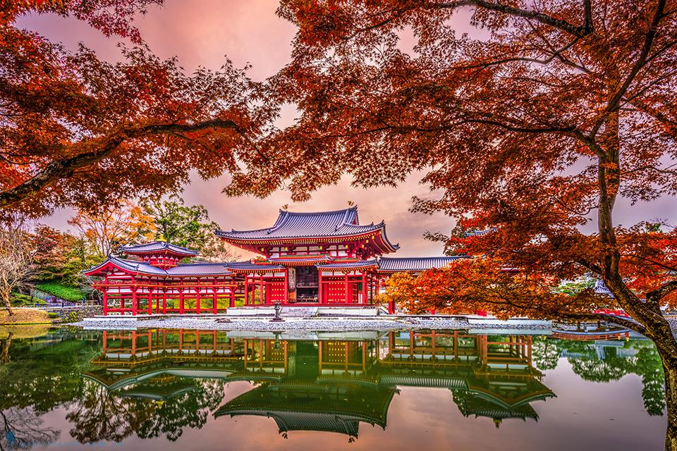 Mùa thu lá đỏ và 4 điều cần biết khi đi du lịch Nhật Bản mùa thu
