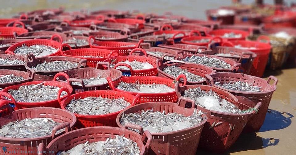 Chợ cá quê Kê Gà, không khí nhộn nhịp trọn vẹn ở một nơi xa | VIETRAVEL - Vietravel