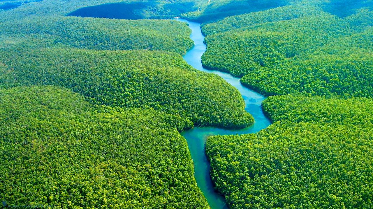 Những khu rừng xanh mướt đẹp tựa thiên đường | VIETRAVEL - Vietravel